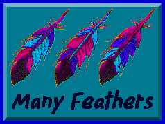 Many Feathers Site