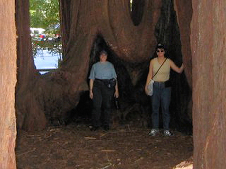 Martha and Geri IN redwoods