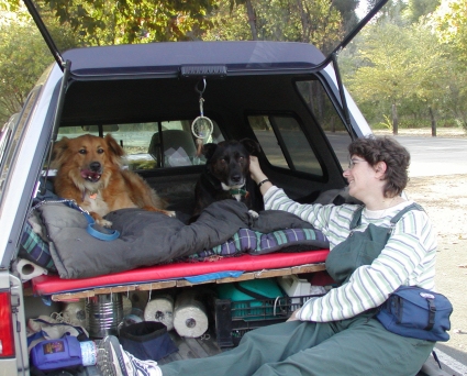 Martha, Simba, and Shasta in truck